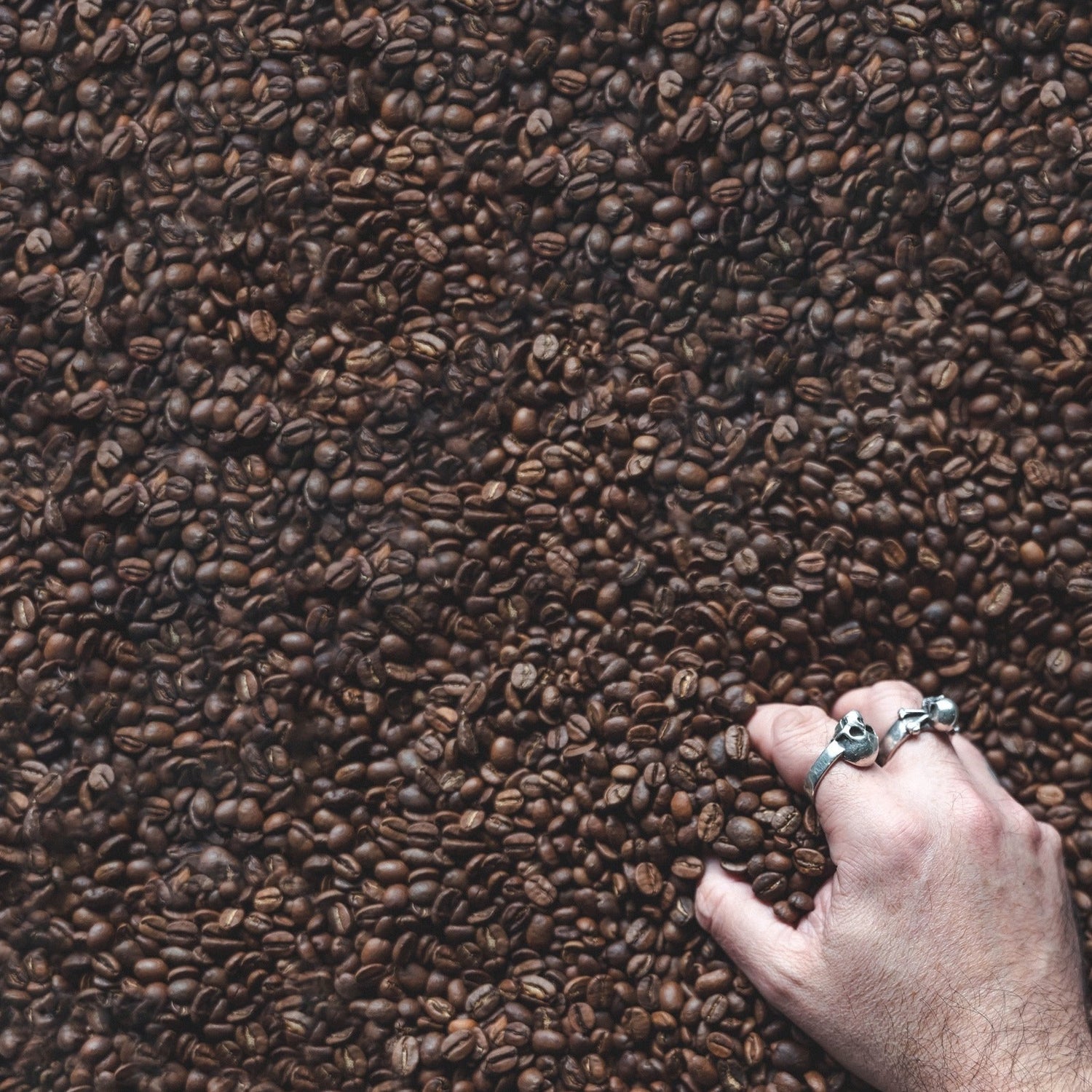 Rising Ground Coffee Beans for PSD Espresso Liqueur